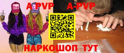 шишки Донской