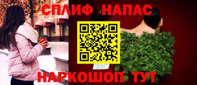 шишки Дубна