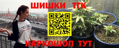 шишки Дубна