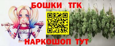 шишки Дубна