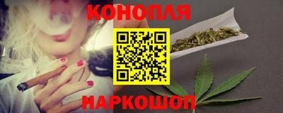 шишки Дубна