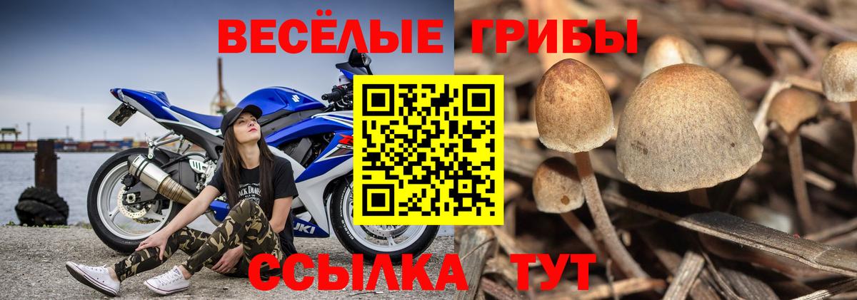 Псилоцибиновые грибы Magic Shrooms  Вход с VPN  Крымск 